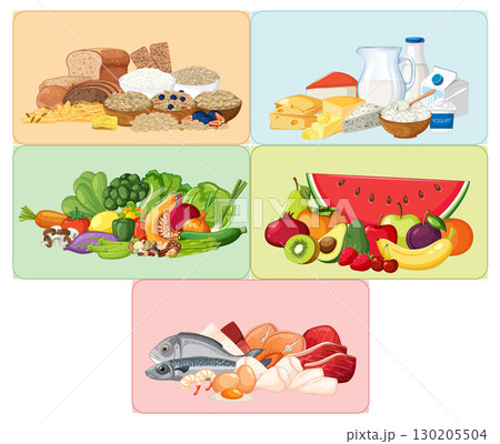 Balanced Food Groups Vector Illustration for Healthy Diet 130205504