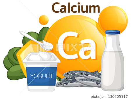 Calcium Rich Foods and Dietary Sources Illustration 130205517