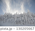 冬の寒さに耐える雪山 130205667