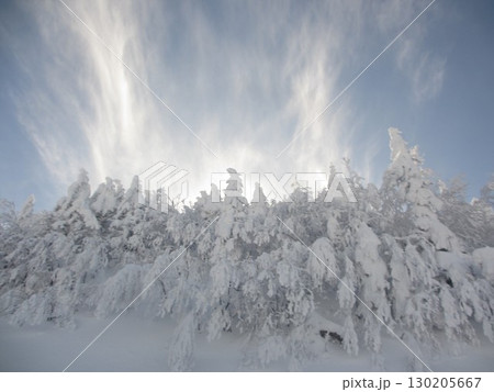 冬の寒さに耐える雪山 130205667
