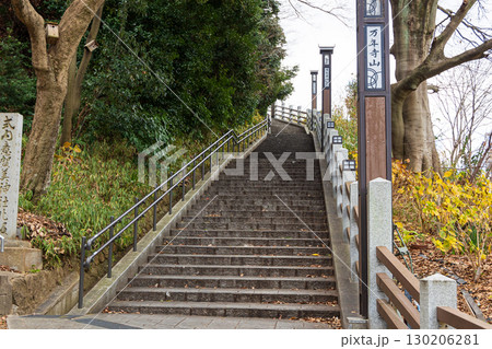 枚方市駅近くの御茶屋御殿跡展望広場 130206281