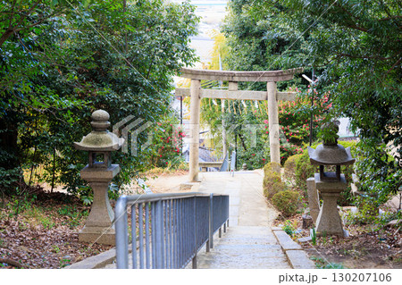 大阪府枚方市の意賀美神社 130207106