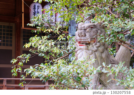 大阪府枚方市の意賀美神社の狛犬 130207558