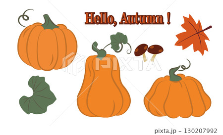 Pumpkin vector illustration set. Autumn greeting element Pumpkin vector illustration set. Autumn greeting element 130207992