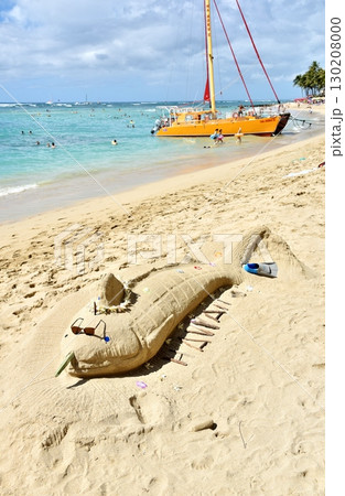 ハワイの休日 130208000