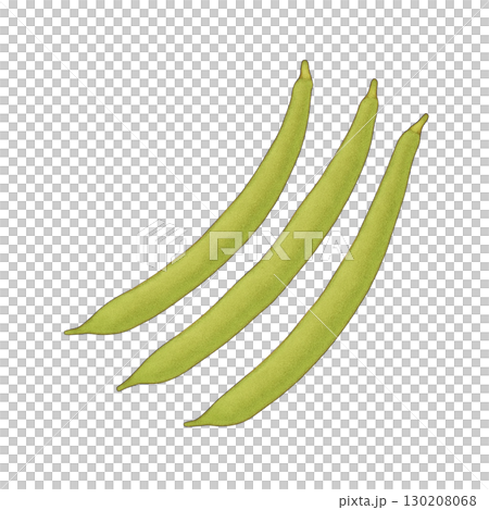 [蔬菜] 芸豆插畫 130208068