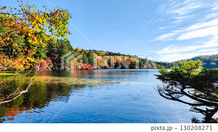 秋の白駒池 秋の白駒池 130208271
