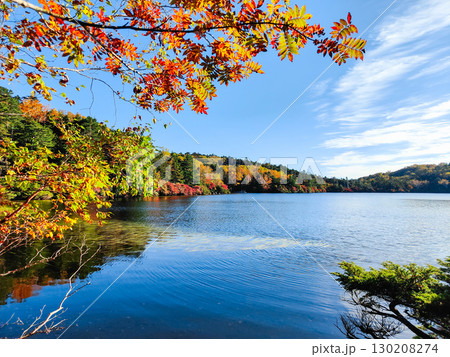 秋の白駒池 130208274