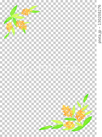 Osmanthus decorative frame 130208276