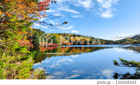 秋の白駒池 秋の白駒池 130208283