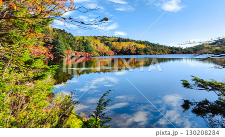 秋の白駒池 130208284