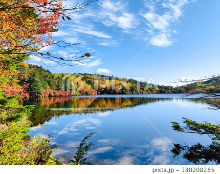 秋の白駒池 130208285