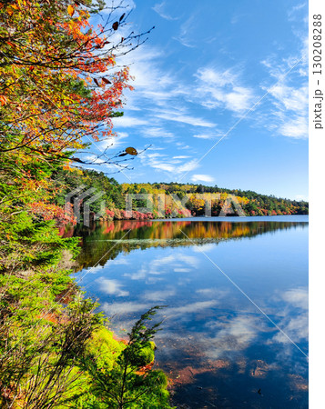 秋の白駒池 秋の白駒池 130208288