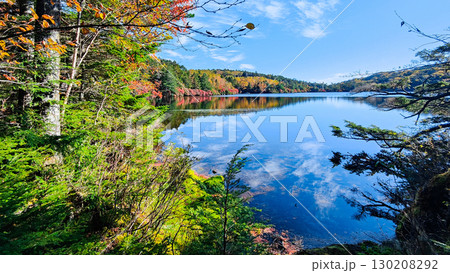 秋の白駒池 秋の白駒池 130208292