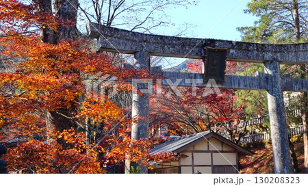 紅葉に染まる境内　古峯神社  130208323