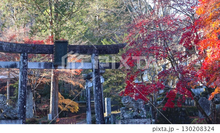 紅葉に染まる境内　古峯神社  130208324