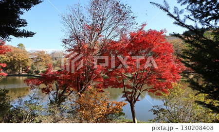 池に映る紅葉　北山公園 130208408