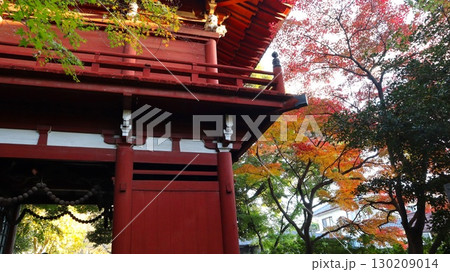 紅葉したモミジと古刹 本土寺 紅葉したモミジと古刹 本土寺 130209014