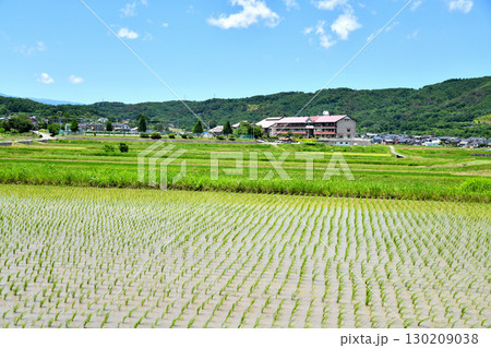 浅科中学校周辺を望む(長野県佐久市)【2025.6】 浅科中学校周辺を望む(長野県佐久市)【2025.6】 130209038