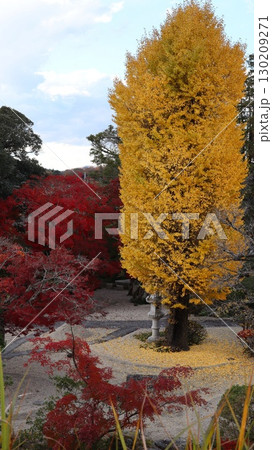 紅葉に彩られた月山寺　桜川市 130209271