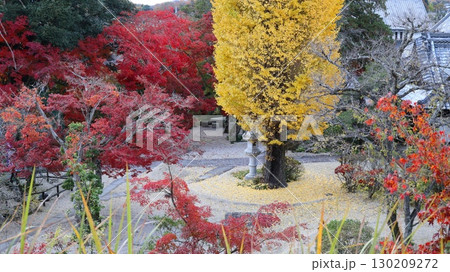 紅葉に彩られた月山寺 桜川市 紅葉に彩られた月山寺 桜川市 130209272