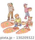 さつまいも掘りをする家族 130209322
