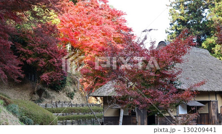 紅葉のある風景 西山御殿(西山荘) 紅葉のある風景 西山御殿(西山荘) 130209441