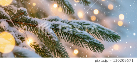 Snow-covered fir branch with Christmas lights glowing softly in the background during a gentle snowfall. Holiday mood and winter atmosphere. 130209571