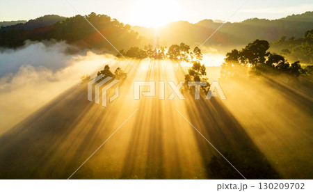 Golden sunlight streaming through morning mist over a lush forest, casting dramatic rays and creating a serene, ethereal landscape filled with warmth and tranquility Golden sunlight streaming through morning mist over a lush forest, casting dramatic rays and creating a serene, ethereal landscape filled with warmth and tranquility 130209702