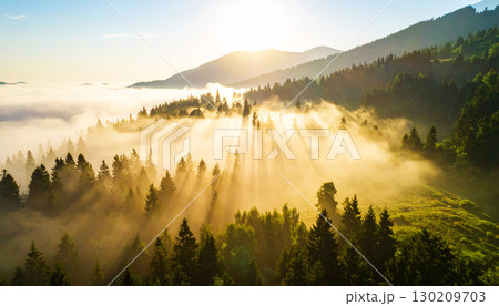 Golden sunlight streaming through morning mist over a lush forest, casting dramatic rays and creating a serene, ethereal landscape filled with warmth and tranquility Golden sunlight streaming through morning mist over a lush forest, casting dramatic rays and creating a serene, ethereal landscape filled with warmth and tranquility 130209703