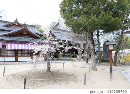 四柱神社(長野県 松本市) 四柱神社(長野県 松本市) 130209769