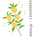 水彩風のキンモクセイの花 130209939