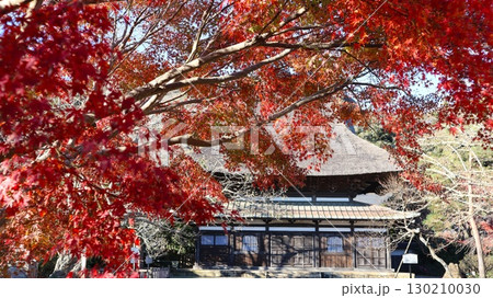 紅葉のある風景　潮来市　長勝寺 130210030