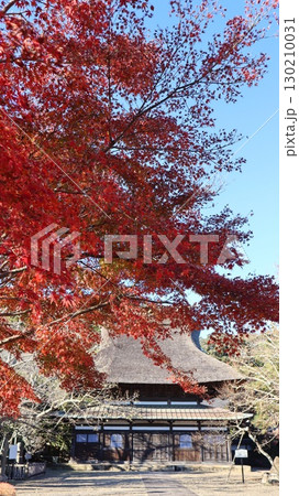 紅葉のある風景　潮来市　長勝寺 130210031
