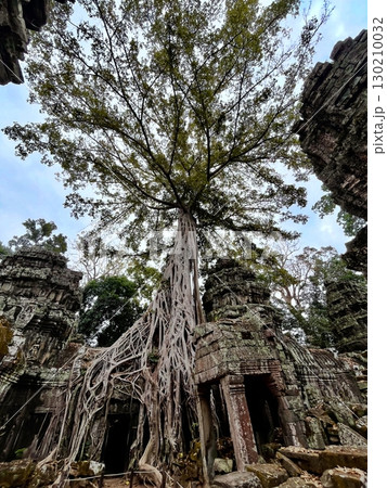 アンコール遺跡群の中から見上げるタプローム 130210032