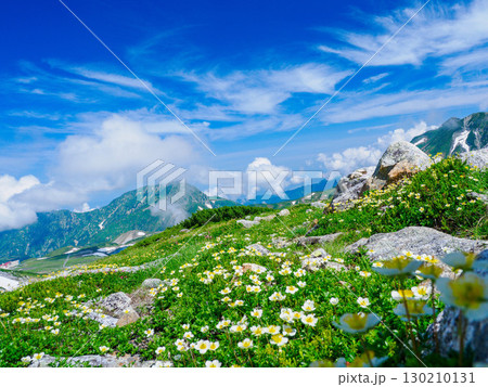 【富山】高山植物が咲き乱れる雄山（立山）  _02 130210131