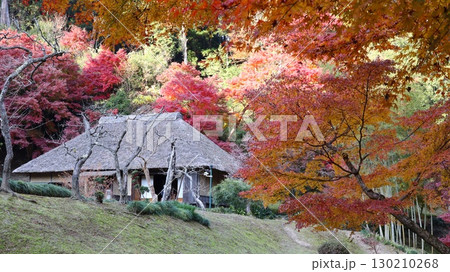 紅葉のある風景　西山御殿(西山荘) 130210268