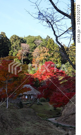 紅葉のある風景 西山御殿(西山荘) 紅葉のある風景 西山御殿(西山荘) 130210273
