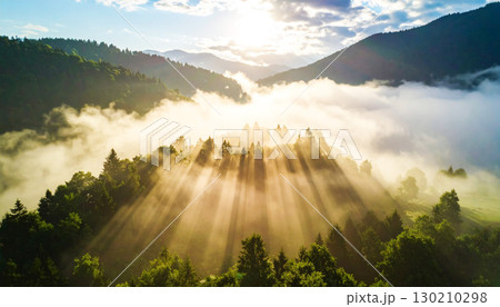 Golden sunlight streaming through morning mist over a lush forest, casting dramatic rays and creating a serene, ethereal landscape filled with warmth and tranquility 130210298