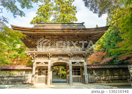 岐阜県美濃市　秋の大矢田神社の紅葉の楼門 130210348