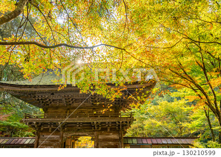 岐阜県美濃市 秋の大矢田神社の紅葉の楼門 岐阜県美濃市 秋の大矢田神社の紅葉の楼門 130210599