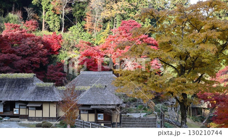 紅葉のある風景 西山御殿(西山荘) 紅葉のある風景 西山御殿(西山荘) 130210744