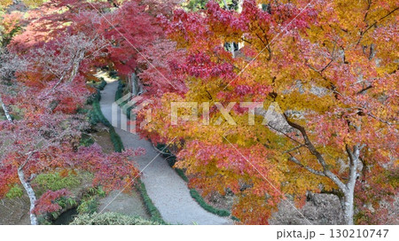 紅葉のある風景 西山御殿(西山荘) 紅葉のある風景 西山御殿(西山荘) 130210747