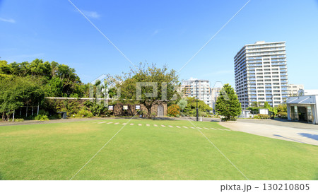 アメリカ山庭園の夏 130210805