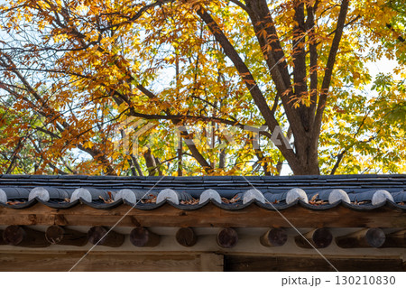 Korean Traditional Building in Secret Garden or Huwon of Changdeokgung Palace with ceautiful autumn foliage. It was used as a place of leisure by members of the royal family Korean Traditional Building in Secret Garden or Huwon of Changdeokgung Palace with ceautiful autumn foliage. It was used as a place of leisure by members of the royal family 130210830