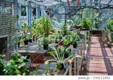 ガーデンハウス 130211002