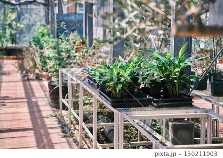 ガーデンハウス 130211003