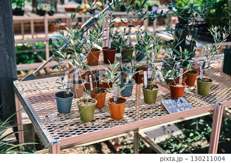 ガーデンハウス 130211004