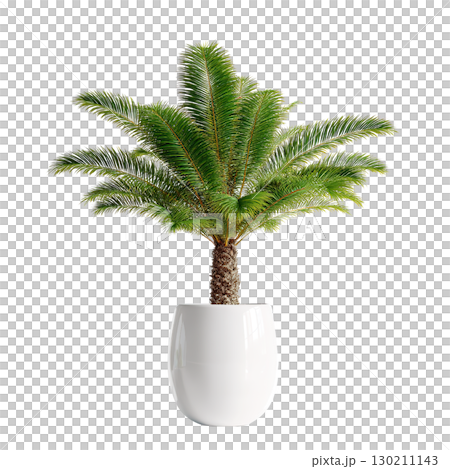 Palm plant in white pot. AI-generated item 130211143