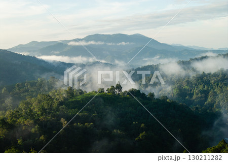 Morning mist in the forest and mountains 130211282